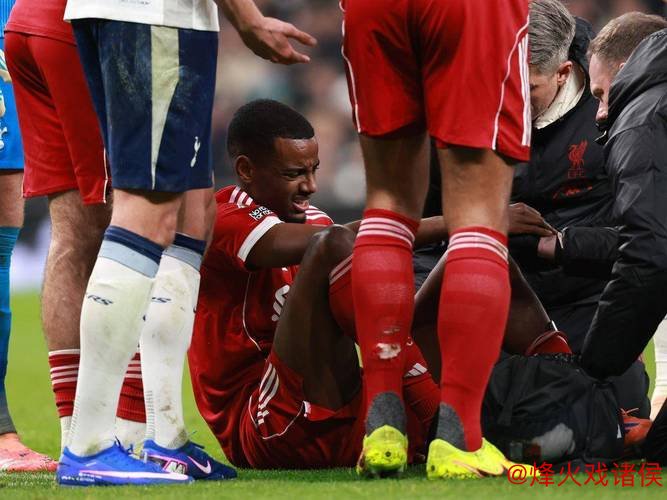 伊萨克脚踝受伤开云体育,利物浦再陷伤病困境:赛季再受挫 伊萨克脚踝受伤,利物浦再陷伤病困境:赛季再受挫