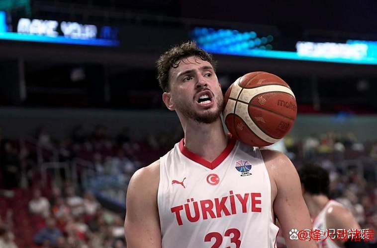 火箭建队困境：重用申京却冷落格林这把利刃