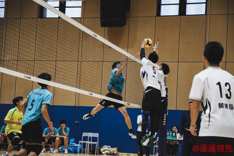 八支队伍逐梦赛场 上海市第七届高中四校排球赛落幕