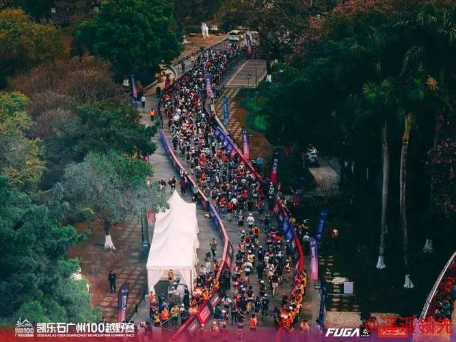 共启岭南新年首野！2026凯乐石广州100越野赛在穗落幕