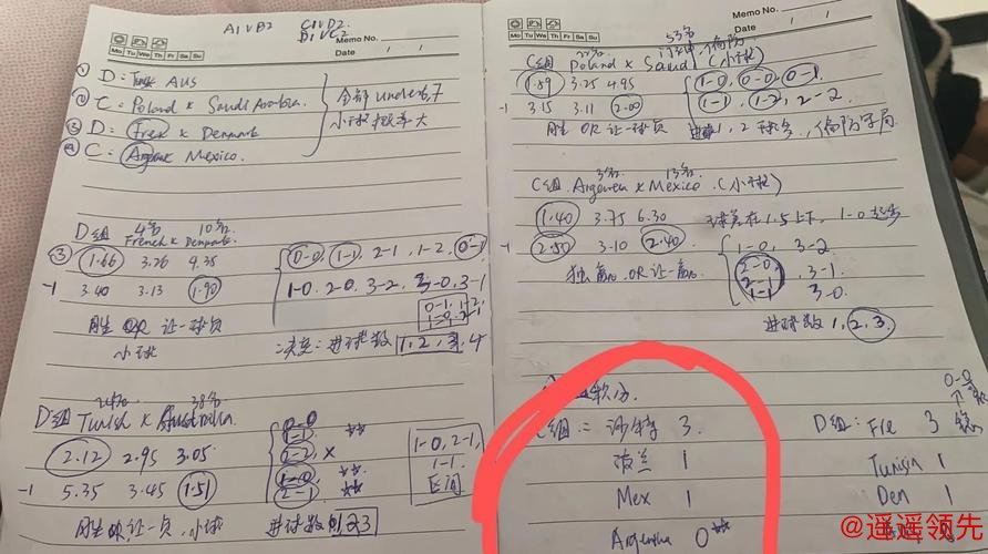 揭秘世界杯投注技巧与最新网址攻略